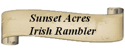 Sunset Acres Irish Rambler